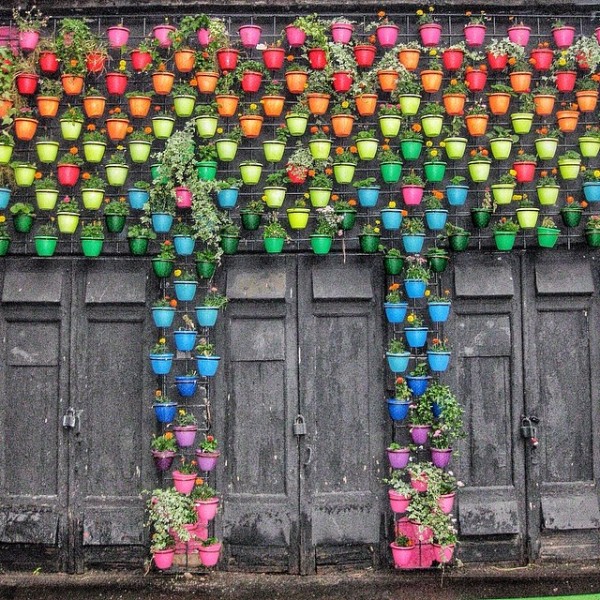 A rainbow of potted plants greets you at this door in Moscow, Russia. Photo by zoyanst/Instagram.