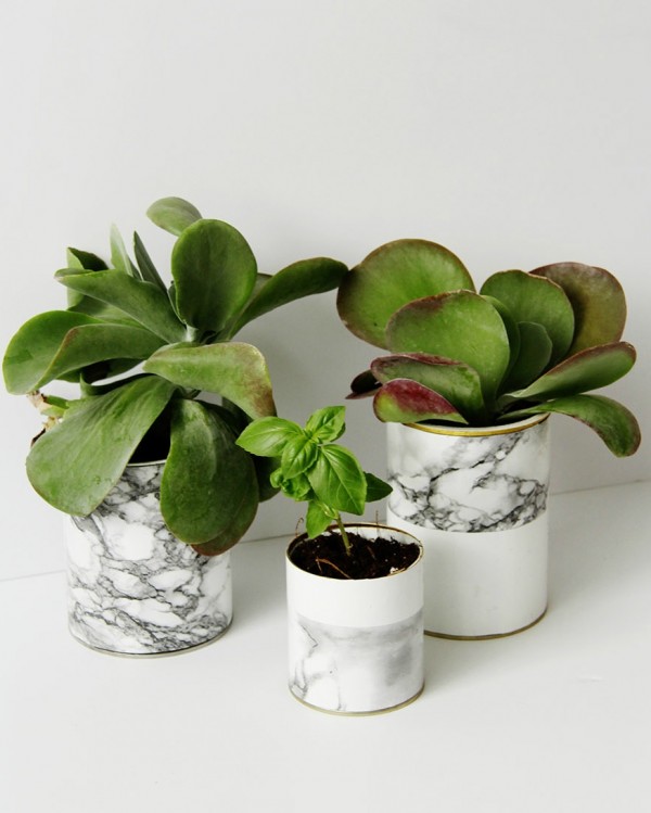 Best DIY projects with plants, via we-are-scout.com