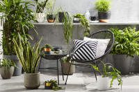 25 New Homewares You Can Actually Afford 25 New Homewares You Can Actually Afford: Australian Kmart Sept 2016.