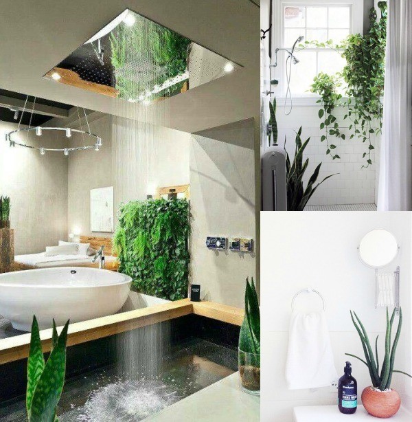 Clever ways to use plants in bathroom