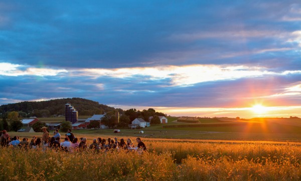 Scouted: Outstanding in the Field, via we-are-scout.com.