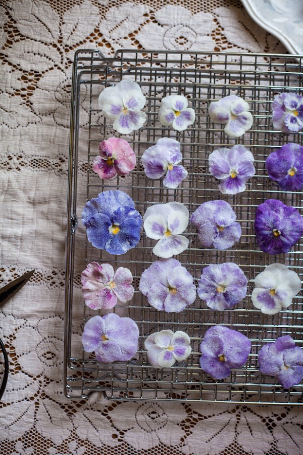 Candied Pansy & Viola Miniature Pavlovas by Adventures in Cooking.