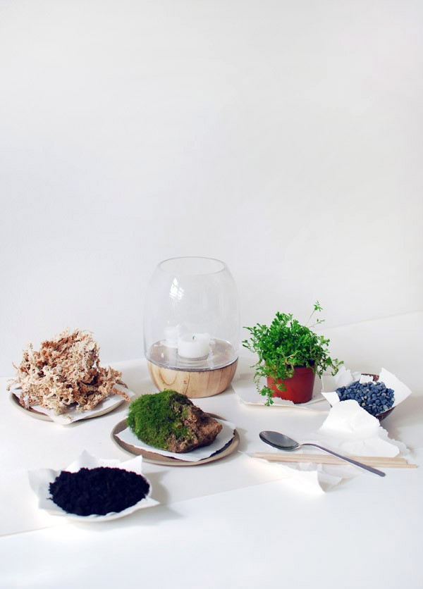 What you'll need to make a moss terrarium. Photo: Lisa Tilse for We Are Scout