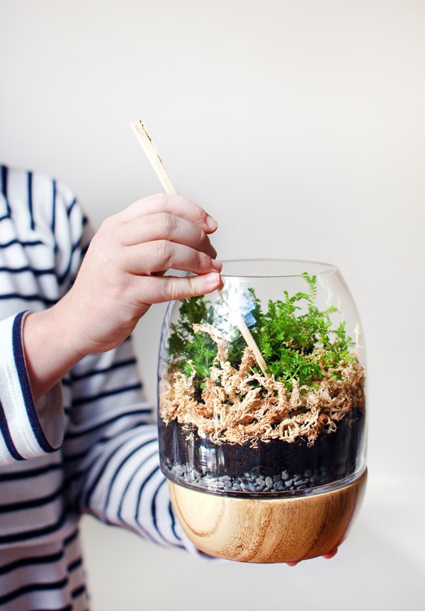 Add spagnum moss. Photo: Lisa Tilse for We Are Scout
