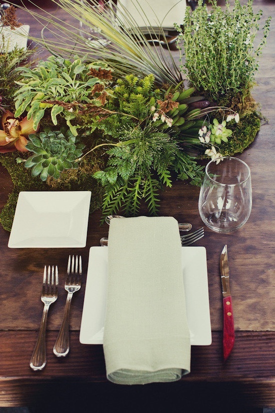 Use small containers to create living landscapes as table centerpieces. Lila B used moss, ferns, rosemary, and succulents to create a living green tablescape. 