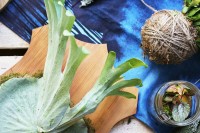 Shopping Guide: 20 Awesome Father's Day Presents Staghorn designs.