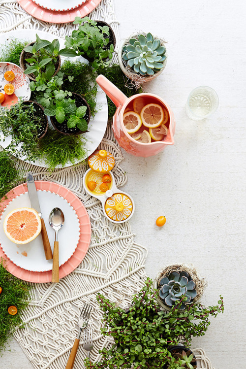 Succulents and macrame via Anthropologie. 